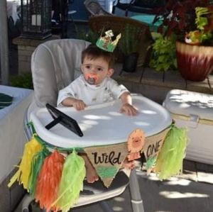 Wild One 1st birthday decorations